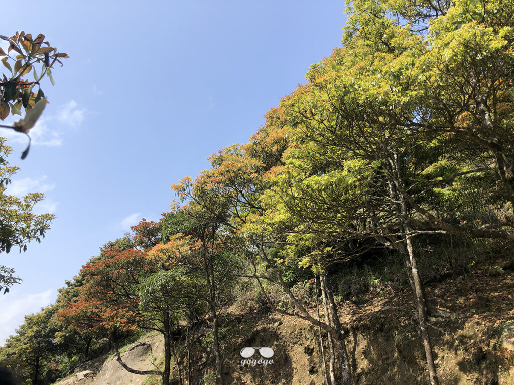 大帽山