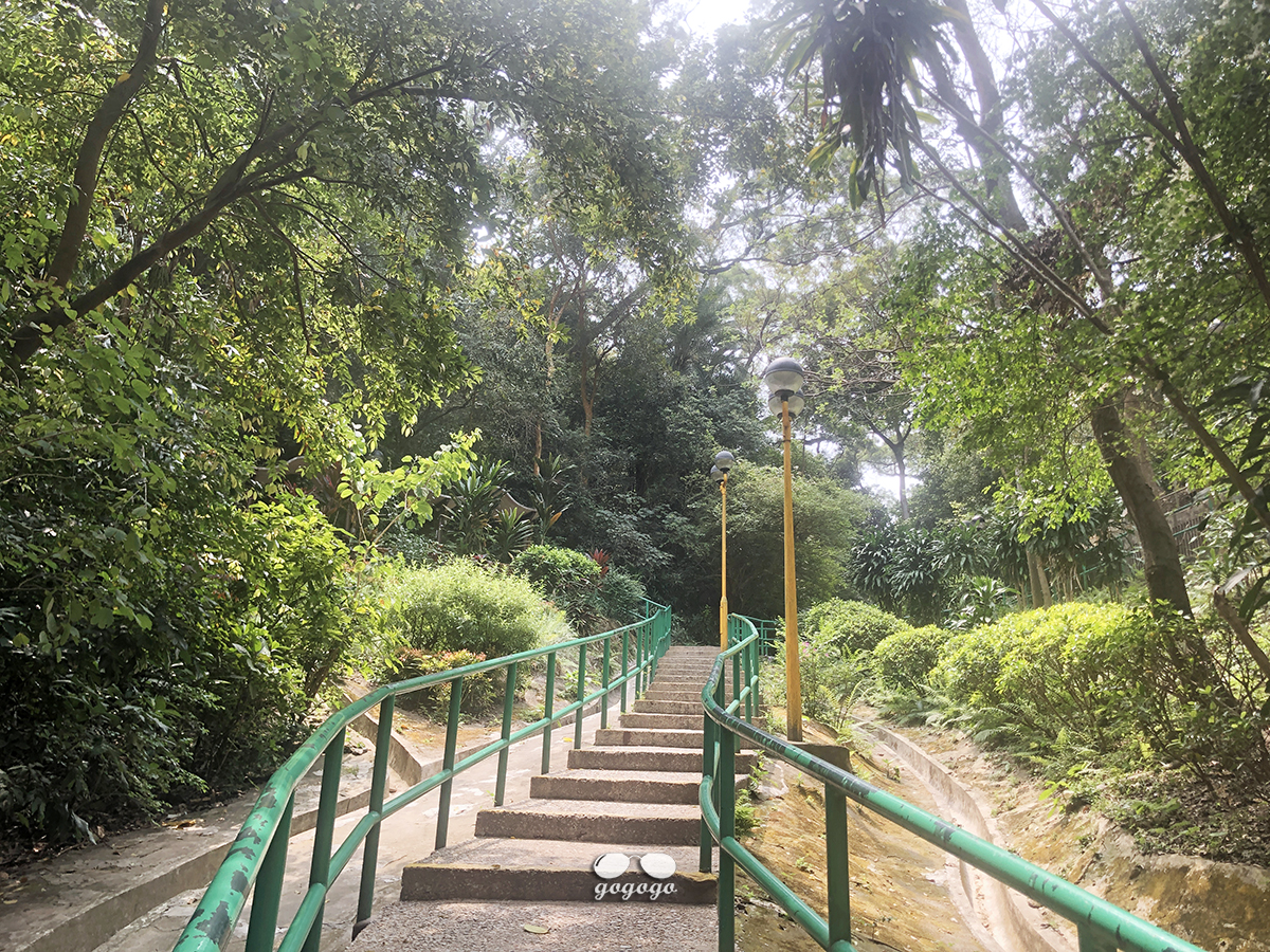 京士柏山 — 油麻地大量斜路少量樓梯上草地散步